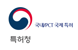 국내/PCT 국제 특허