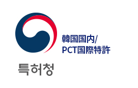 국내/PCT 국제 특허