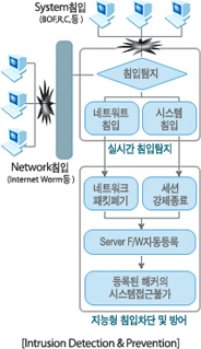 知能型侵入探知及び防止（IIDP;Intelligent Intrusion Detection and Prevention）